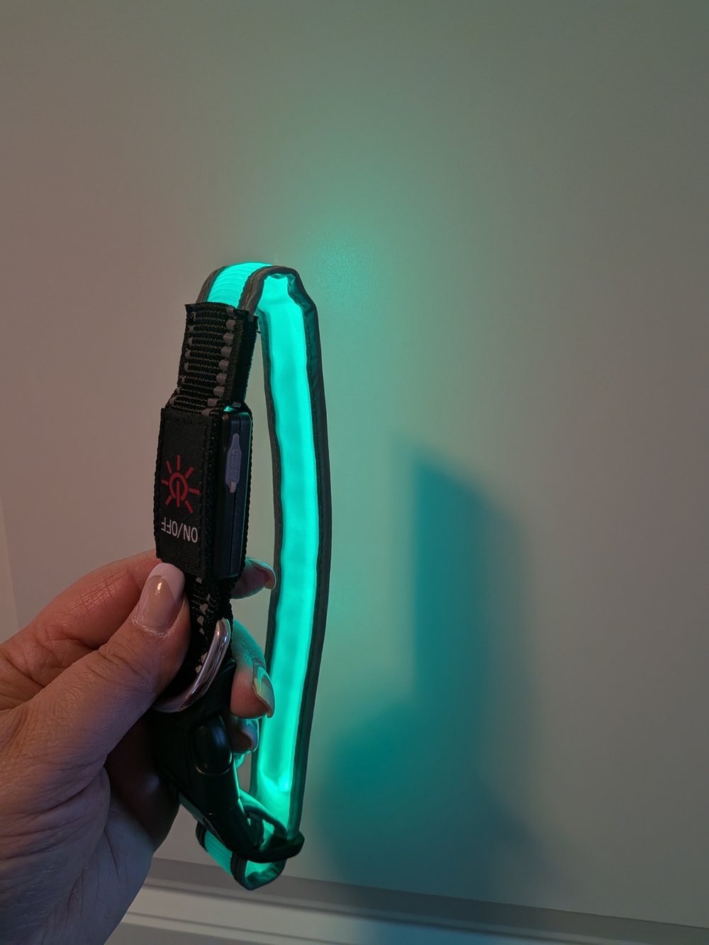 LED Dog Collar - Multi Color - Picture 2 of 6